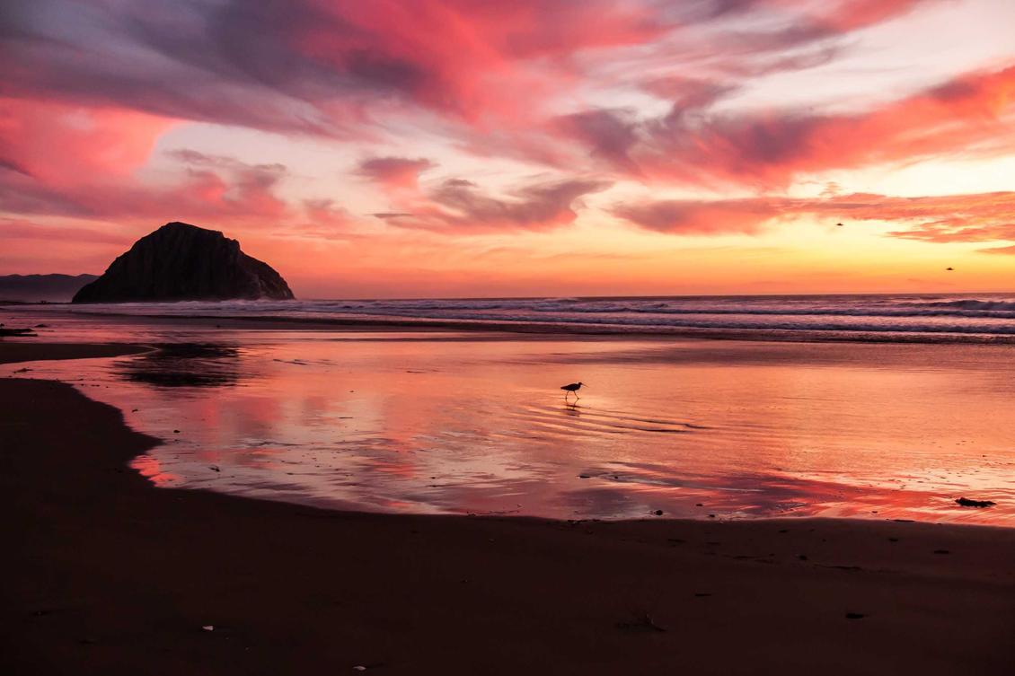 Esse quia harum amet rerum fugiat pariatur id